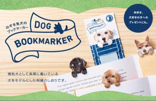 【新製品】補助犬をモデルにした