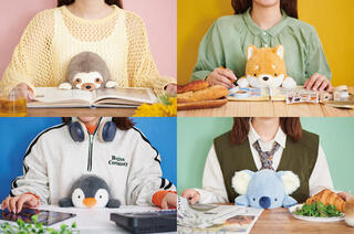 【新製品】猫背なあなたの姿勢をサポート！安定感がアップした「ふんばるずBig」