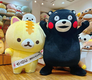 【ニュース】サンエックスが「くまモン」のぬいぐるみを製作することが決定！