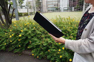 【レビュー】イベントにも大活躍◎高スペパなファイルシリーズ「HOSSO（ホッソ）」