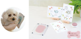 【新製品】わんちゃん・ねこちゃんの足形を、肉球も部屋も汚さずに残せるキット