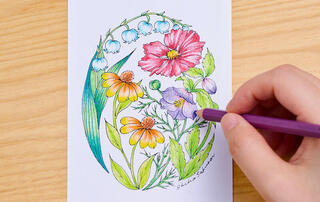 【新製品】ひと塗りで、濃く描ける「色鉛筆 木物語12色」