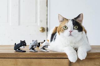 【新製品】やさしい触り心地のシリコンカバーホッチキスに