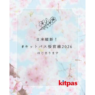【ニュース】窓に描く参加型アート企画「#キットパス桜前線2026」始動