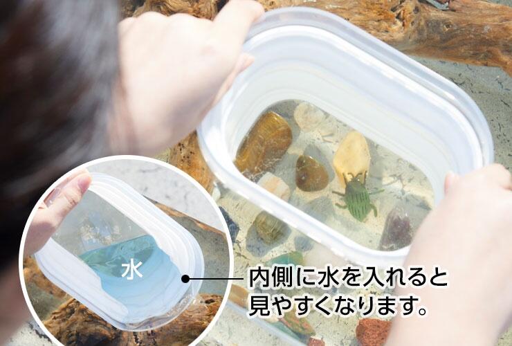 imageのコピー31.jpg
