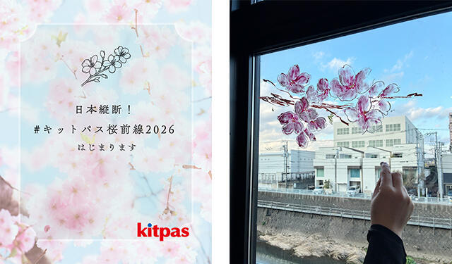 20260319kitpas2-thumb-640xauto-78884.jpg