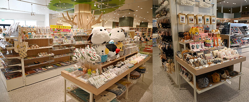 DSC_0665 のコピー.jpg