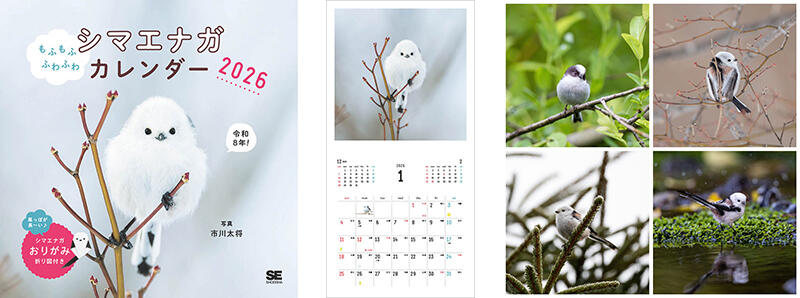 sub1 のコピー.jpg