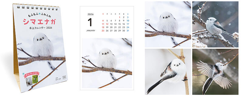 sub6 のコピー.jpg