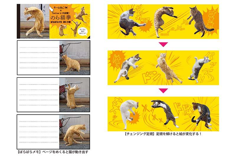 のら猫拳2.jpg